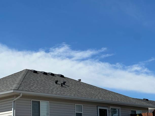 Best Storm Damage Roof Repair  in Riner, VA